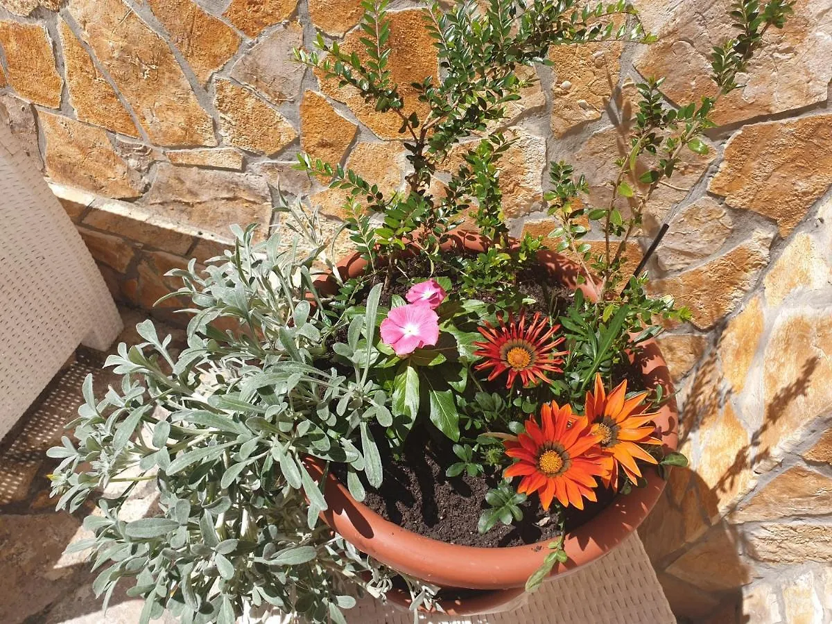 Apartman The Color Of Summer Apartment Cres Croatia